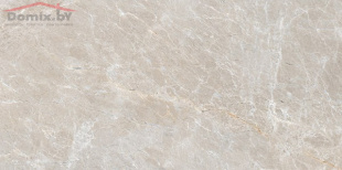 Керамогранит Гранитея Синара  Коричневый G314 MR (60х120) Матовый